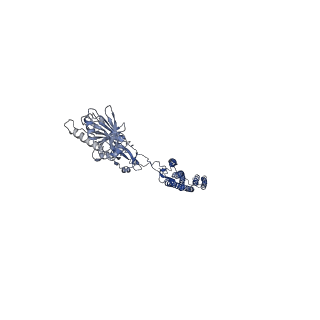 25211_7sn4_P_v1-1
Cryo-EM structure of the enterohemorrhagic E. coli O157:H7 flagellar filament