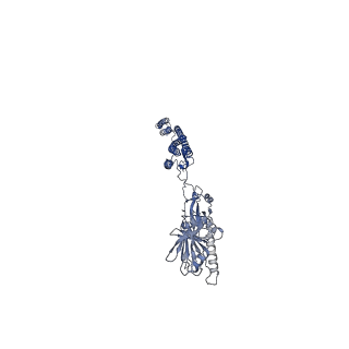 25211_7sn4_Q_v1-1
Cryo-EM structure of the enterohemorrhagic E. coli O157:H7 flagellar filament