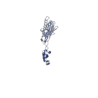 25211_7sn4_U_v1-1
Cryo-EM structure of the enterohemorrhagic E. coli O157:H7 flagellar filament