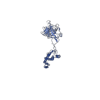 25211_7sn4_W_v1-1
Cryo-EM structure of the enterohemorrhagic E. coli O157:H7 flagellar filament