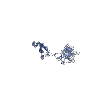 25211_7sn4_Y_v1-1
Cryo-EM structure of the enterohemorrhagic E. coli O157:H7 flagellar filament