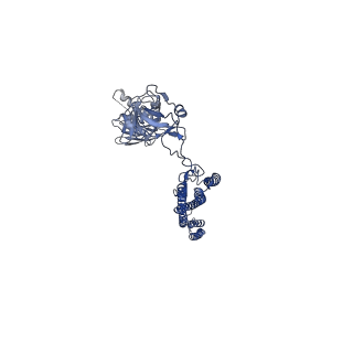 25211_7sn4_Z_v1-1
Cryo-EM structure of the enterohemorrhagic E. coli O157:H7 flagellar filament