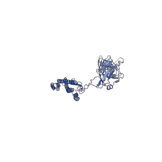 25211_7sn4_b_v1-1
Cryo-EM structure of the enterohemorrhagic E. coli O157:H7 flagellar filament