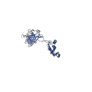 25211_7sn4_c_v1-1
Cryo-EM structure of the enterohemorrhagic E. coli O157:H7 flagellar filament