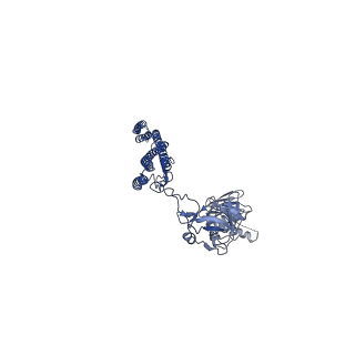 25211_7sn4_d_v1-1
Cryo-EM structure of the enterohemorrhagic E. coli O157:H7 flagellar filament