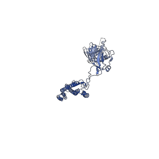 25211_7sn4_f_v1-1
Cryo-EM structure of the enterohemorrhagic E. coli O157:H7 flagellar filament