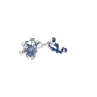 25211_7sn4_g_v1-1
Cryo-EM structure of the enterohemorrhagic E. coli O157:H7 flagellar filament