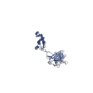 25211_7sn4_h_v1-1
Cryo-EM structure of the enterohemorrhagic E. coli O157:H7 flagellar filament