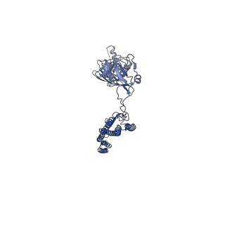 25211_7sn4_i_v1-1
Cryo-EM structure of the enterohemorrhagic E. coli O157:H7 flagellar filament