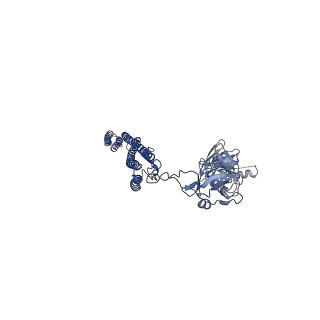 25211_7sn4_k_v1-1
Cryo-EM structure of the enterohemorrhagic E. coli O157:H7 flagellar filament