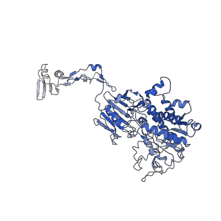 25214_7sn8_I_v1-0
Cryo-EM structure of Drosophila Integrator cleavage module (IntS4-IntS9-IntS11) in complex with IP6