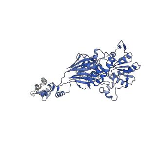 25214_7sn8_K_v1-0
Cryo-EM structure of Drosophila Integrator cleavage module (IntS4-IntS9-IntS11) in complex with IP6