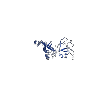 25215_7sn9_C_v1-1
Cryo-EM structure of the Sinorhizobium meliloti flagellar filament