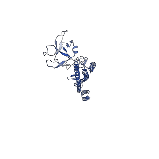25215_7sn9_D_v1-1
Cryo-EM structure of the Sinorhizobium meliloti flagellar filament