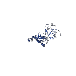 25215_7sn9_F_v1-1
Cryo-EM structure of the Sinorhizobium meliloti flagellar filament