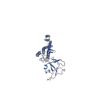 25215_7sn9_H_v1-1
Cryo-EM structure of the Sinorhizobium meliloti flagellar filament