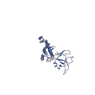 25215_7sn9_K_v1-1
Cryo-EM structure of the Sinorhizobium meliloti flagellar filament