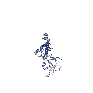 25215_7sn9_T_v1-1
Cryo-EM structure of the Sinorhizobium meliloti flagellar filament