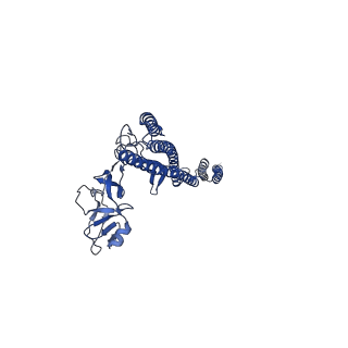 25215_7sn9_W_v1-1
Cryo-EM structure of the Sinorhizobium meliloti flagellar filament