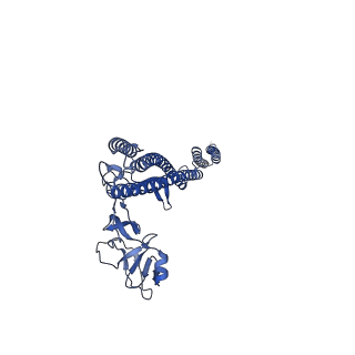 25215_7sn9_Z_v1-1
Cryo-EM structure of the Sinorhizobium meliloti flagellar filament