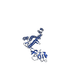25215_7sn9_c_v1-1
Cryo-EM structure of the Sinorhizobium meliloti flagellar filament