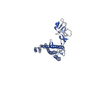 25215_7sn9_d_v1-1
Cryo-EM structure of the Sinorhizobium meliloti flagellar filament