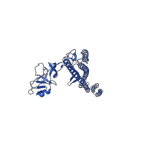 25215_7sn9_e_v1-1
Cryo-EM structure of the Sinorhizobium meliloti flagellar filament