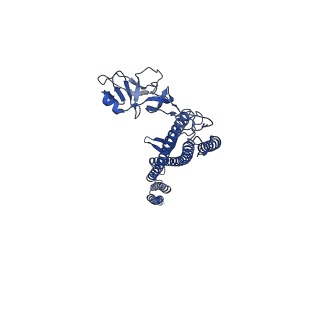 25215_7sn9_j_v1-1
Cryo-EM structure of the Sinorhizobium meliloti flagellar filament