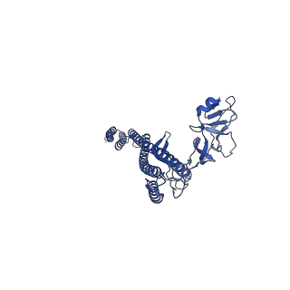 25215_7sn9_l_v1-1
Cryo-EM structure of the Sinorhizobium meliloti flagellar filament