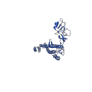 25215_7sn9_o_v1-1
Cryo-EM structure of the Sinorhizobium meliloti flagellar filament