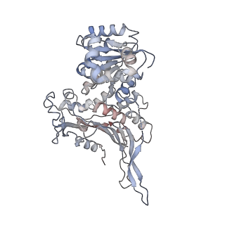 25224_7snf_A_v1-1
Structure of G6PD-WT dimer