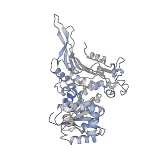 25224_7snf_B_v1-1
Structure of G6PD-WT dimer