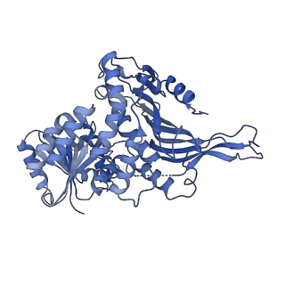 25225_7sng_A_v1-1
structure of G6PD-WT tetramer