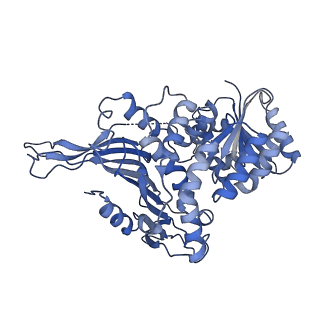 25225_7sng_B_v1-1
structure of G6PD-WT tetramer