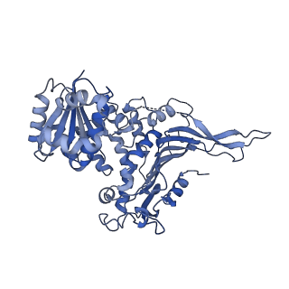 25225_7sng_C_v1-1
structure of G6PD-WT tetramer