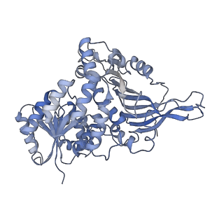 25227_7sni_A_v1-1
Structure of G6PD-D200N tetramer bound to NADP+ and G6P
