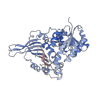 25227_7sni_B_v1-1
Structure of G6PD-D200N tetramer bound to NADP+ and G6P