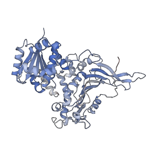 25227_7sni_C_v1-1
Structure of G6PD-D200N tetramer bound to NADP+ and G6P