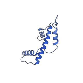 40608_8sn0_A_v1-1
Cryo-EM structure of the human nucleosome core particle in complex with RNF168 and UbcH5c~Ub (UbcH5c chemically conjugated to histone H2A. No density for Ub.) (class 5)