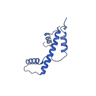 40608_8sn0_A_v1-2
Cryo-EM structure of the human nucleosome core particle in complex with RNF168 and UbcH5c~Ub (UbcH5c chemically conjugated to histone H2A. No density for Ub.) (class 5)