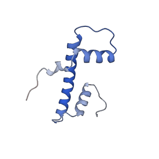 40608_8sn0_B_v1-2
Cryo-EM structure of the human nucleosome core particle in complex with RNF168 and UbcH5c~Ub (UbcH5c chemically conjugated to histone H2A. No density for Ub.) (class 5)