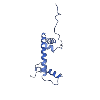 40608_8sn0_C_v1-1
Cryo-EM structure of the human nucleosome core particle in complex with RNF168 and UbcH5c~Ub (UbcH5c chemically conjugated to histone H2A. No density for Ub.) (class 5)