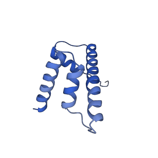 40608_8sn0_D_v1-2
Cryo-EM structure of the human nucleosome core particle in complex with RNF168 and UbcH5c~Ub (UbcH5c chemically conjugated to histone H2A. No density for Ub.) (class 5)