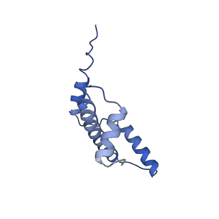 40608_8sn0_E_v1-1
Cryo-EM structure of the human nucleosome core particle in complex with RNF168 and UbcH5c~Ub (UbcH5c chemically conjugated to histone H2A. No density for Ub.) (class 5)