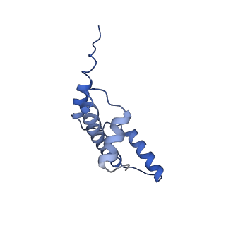 40608_8sn0_E_v1-2
Cryo-EM structure of the human nucleosome core particle in complex with RNF168 and UbcH5c~Ub (UbcH5c chemically conjugated to histone H2A. No density for Ub.) (class 5)