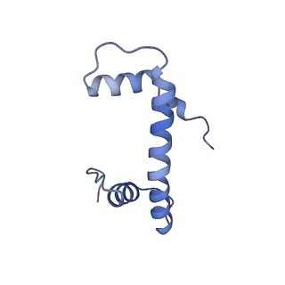 40608_8sn0_F_v1-2
Cryo-EM structure of the human nucleosome core particle in complex with RNF168 and UbcH5c~Ub (UbcH5c chemically conjugated to histone H2A. No density for Ub.) (class 5)