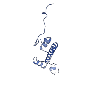 40608_8sn0_G_v1-1
Cryo-EM structure of the human nucleosome core particle in complex with RNF168 and UbcH5c~Ub (UbcH5c chemically conjugated to histone H2A. No density for Ub.) (class 5)