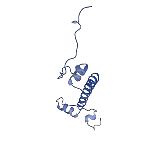 40608_8sn0_G_v1-2
Cryo-EM structure of the human nucleosome core particle in complex with RNF168 and UbcH5c~Ub (UbcH5c chemically conjugated to histone H2A. No density for Ub.) (class 5)