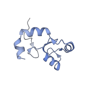 40608_8sn0_K_v1-1
Cryo-EM structure of the human nucleosome core particle in complex with RNF168 and UbcH5c~Ub (UbcH5c chemically conjugated to histone H2A. No density for Ub.) (class 5)