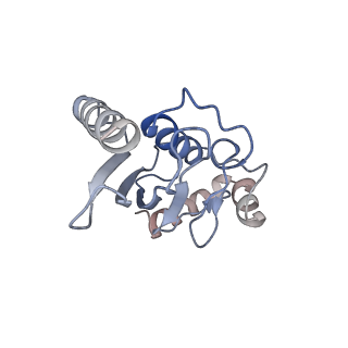 40608_8sn0_L_v1-1
Cryo-EM structure of the human nucleosome core particle in complex with RNF168 and UbcH5c~Ub (UbcH5c chemically conjugated to histone H2A. No density for Ub.) (class 5)